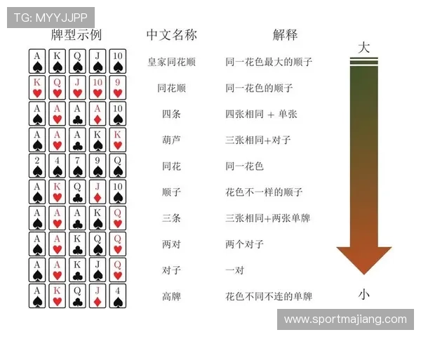 扑克德州游戏入门指南帮助新手快速掌握策略与玩法技巧